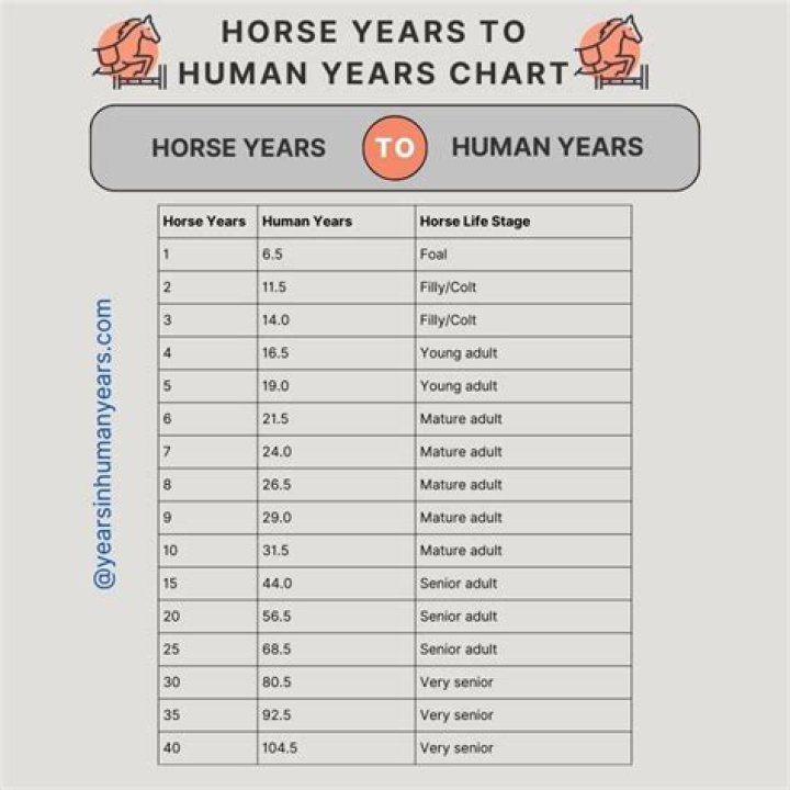 How old is horse?