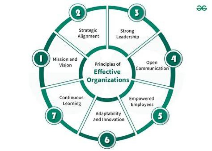 How to improve organizational efficiency and effectiveness?