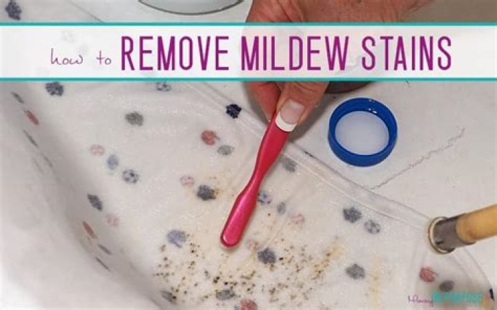 How to remove mildew from clothes?