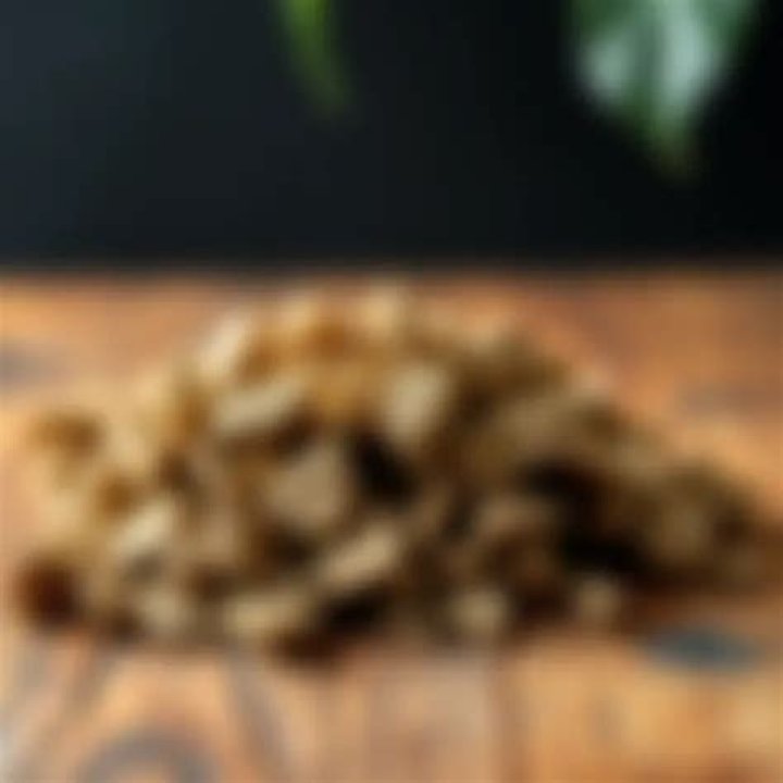 How to use eucommia bark?