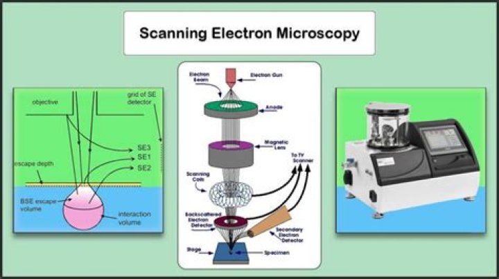 How to use microanalysis in a sentence?