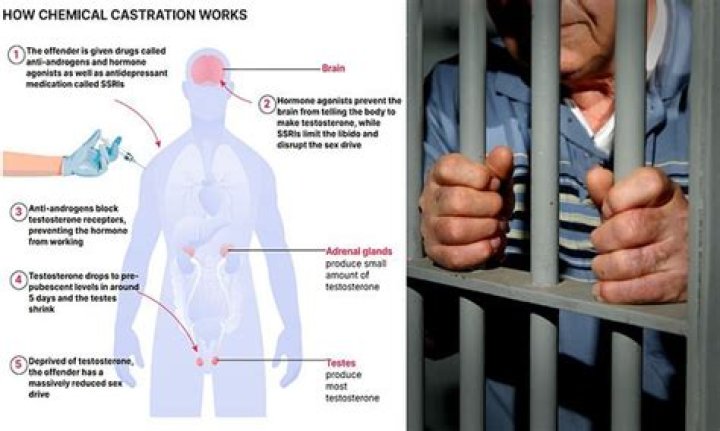 In castration what is removed?