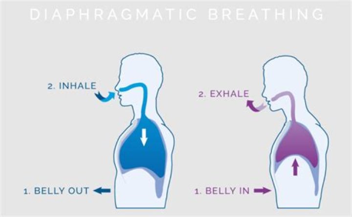In diaphragmatic breathing you?
