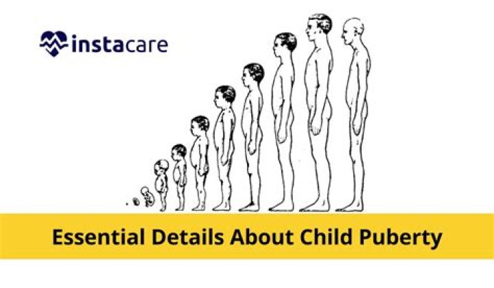 In puberty what changes?