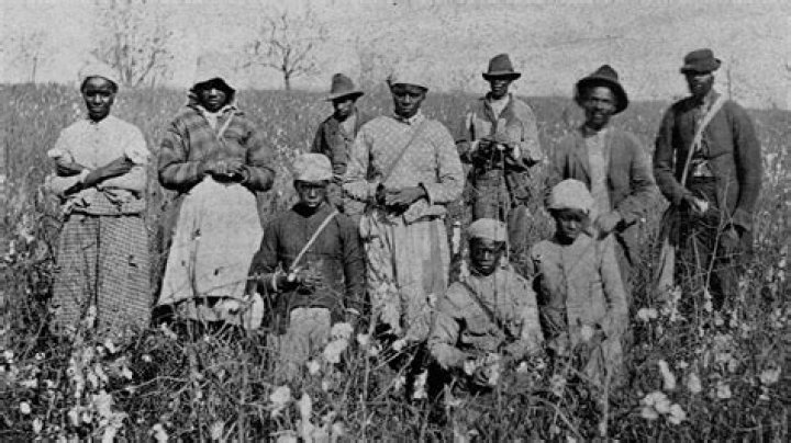 In return for their work sharecroppers receive?