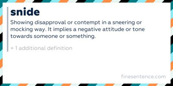 In the snide definition?