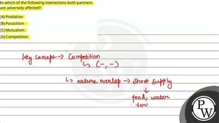 In which interaction both partners are adversely affected?