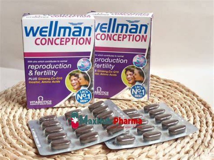 Ingredients in wellman conception?