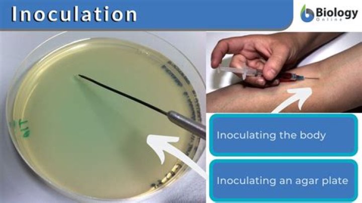 Inoculating in a sentence?