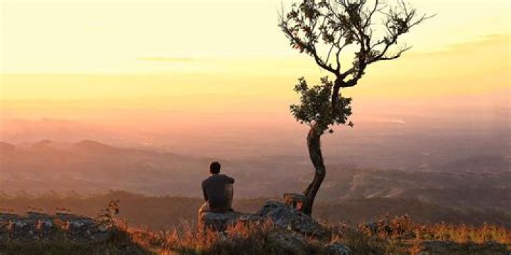 Is aliveness a word?
