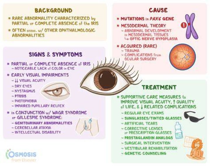 Is aniridia a genetic disorder?