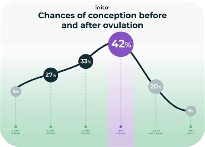 Is conceiving possible after ovulation?