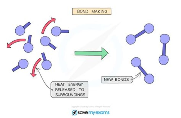Is exothermic bond making?