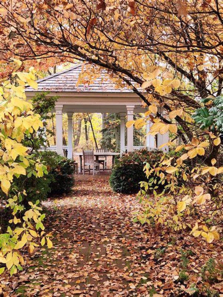 Is frelinghuysen arboretum open?