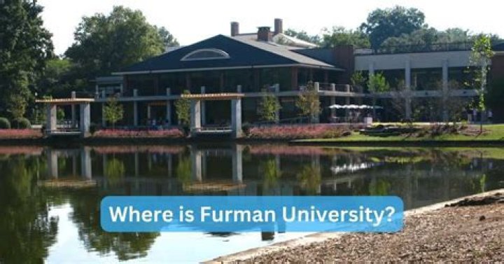Is furman university d1?