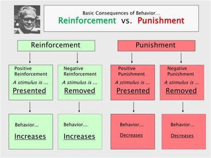 Is the difference between negative reinforcement and punishment?