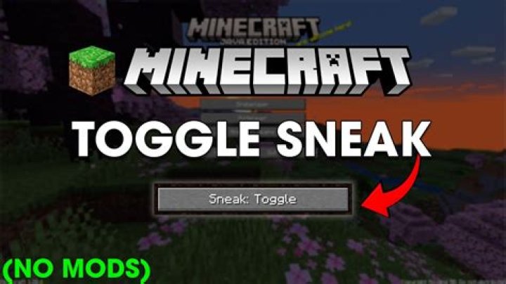 Is toggle sneak bannable on hypixel?