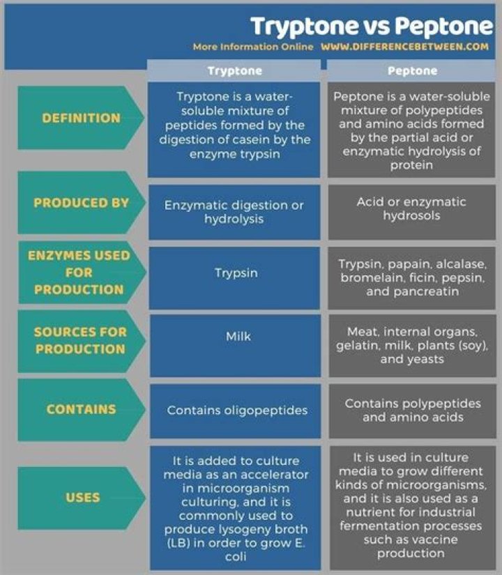Is tryptone the same as peptone?