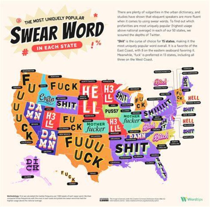 Is tyke a bad word?