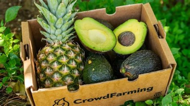 Should pineapples be organic?