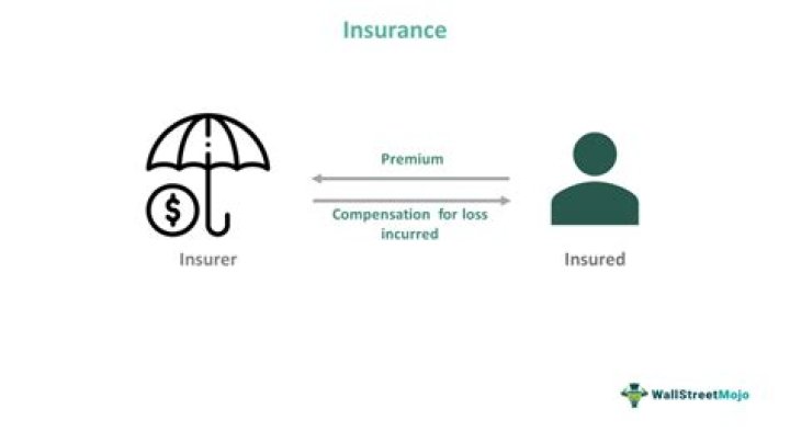 Was does insured mean?