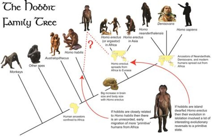 Was our common ancestor?