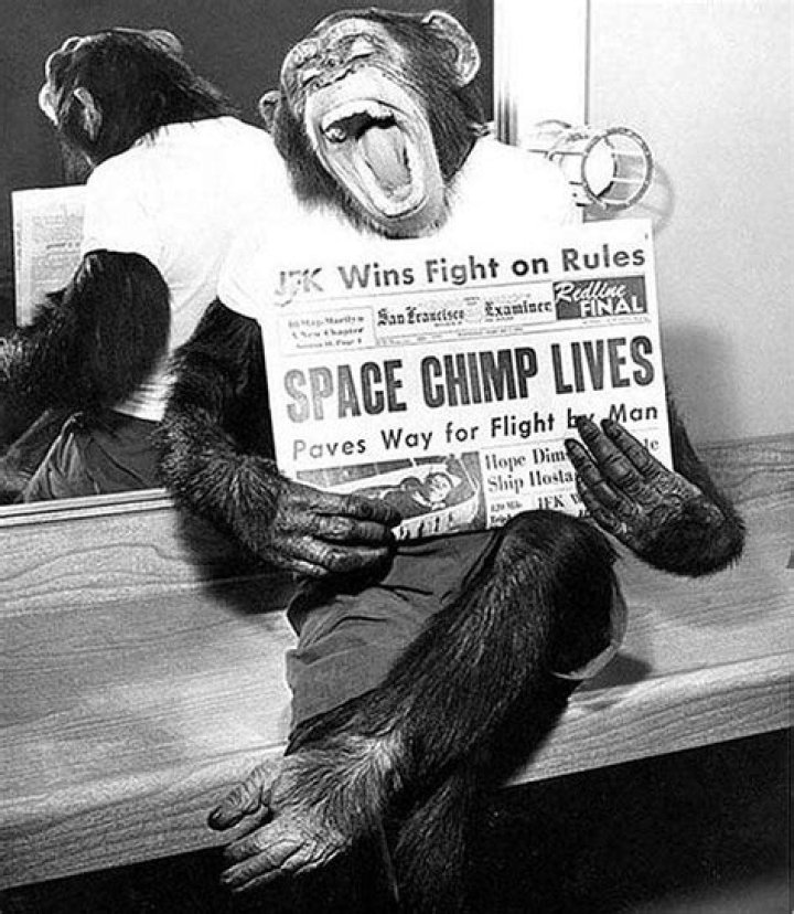 Were chimps sent into space?