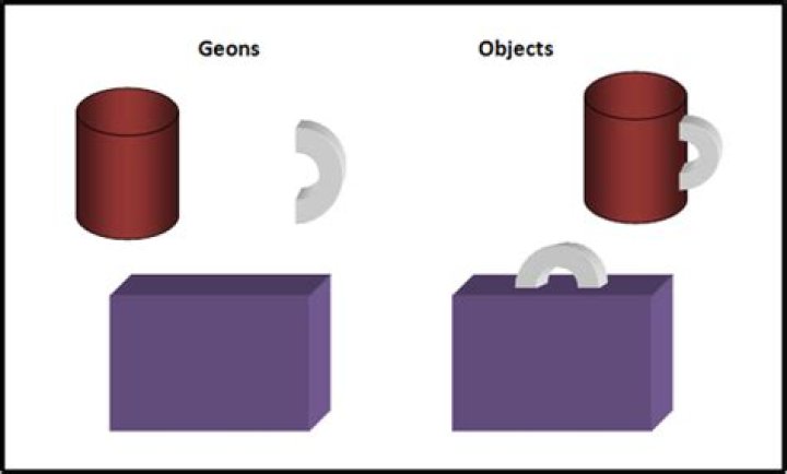 What are geons quizlet?