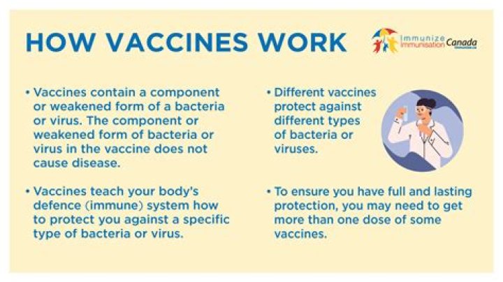 What are vaccines definition?