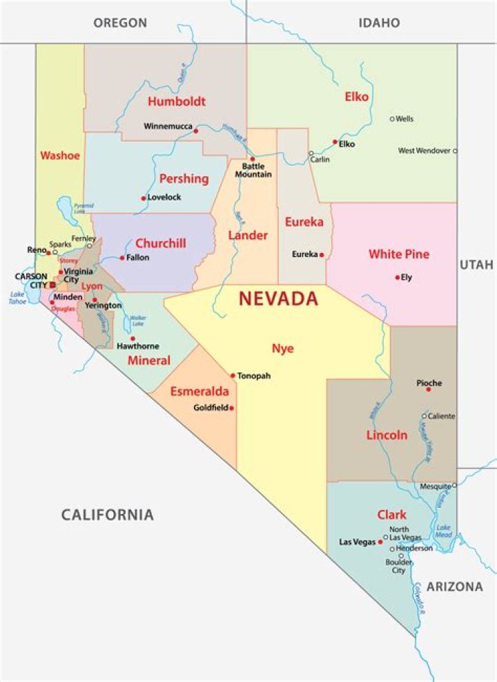 What county is logandale nv?