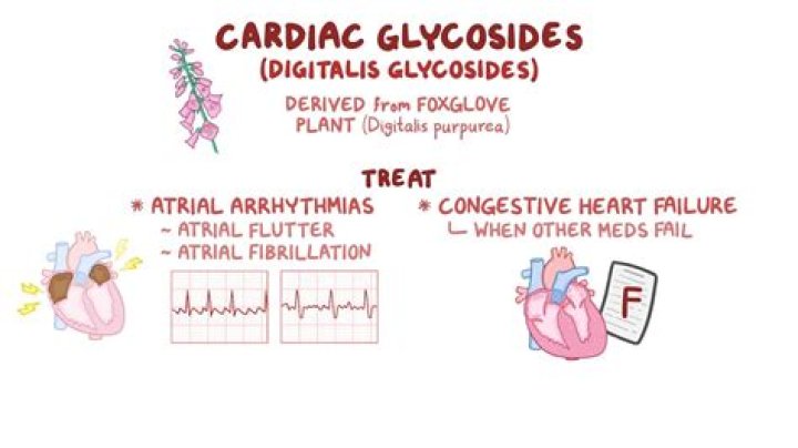 What do glycosides do?