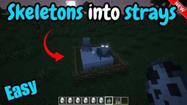 What do strays drop in minecraft?