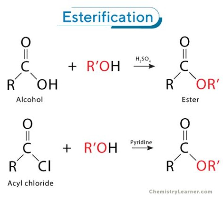 What do you mean by esterify?