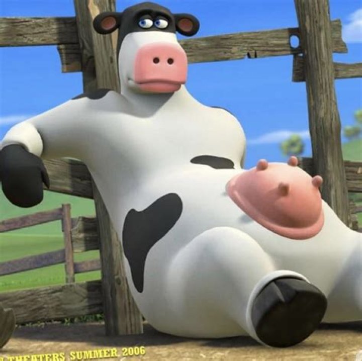 What do you put on cows udders?