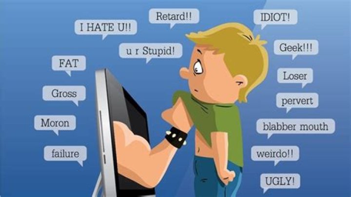 What does cullying mean?