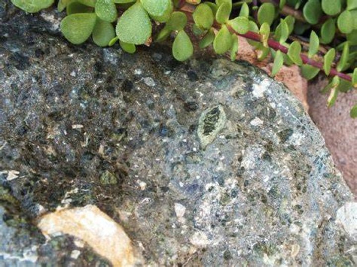What does diamondiferous meaning?