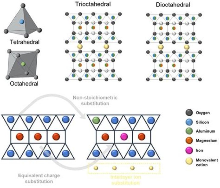 What does dioctahedral mean?