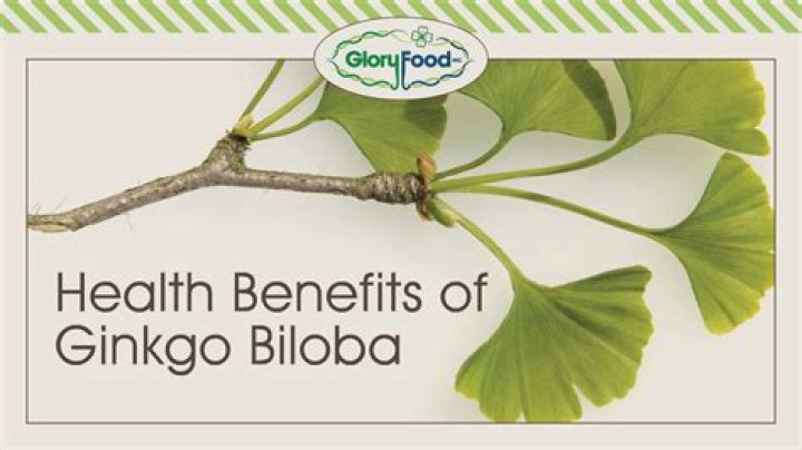 What does ginkgo do?