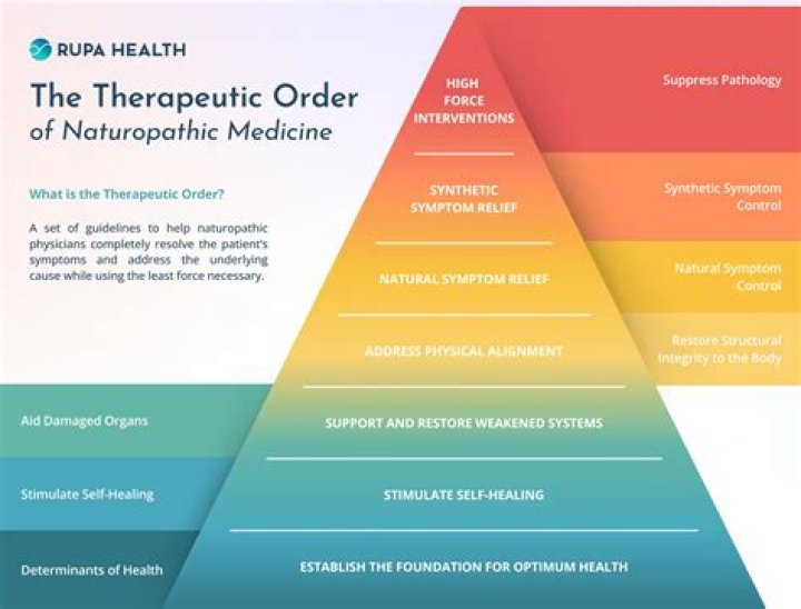 What does naturopathic mean?