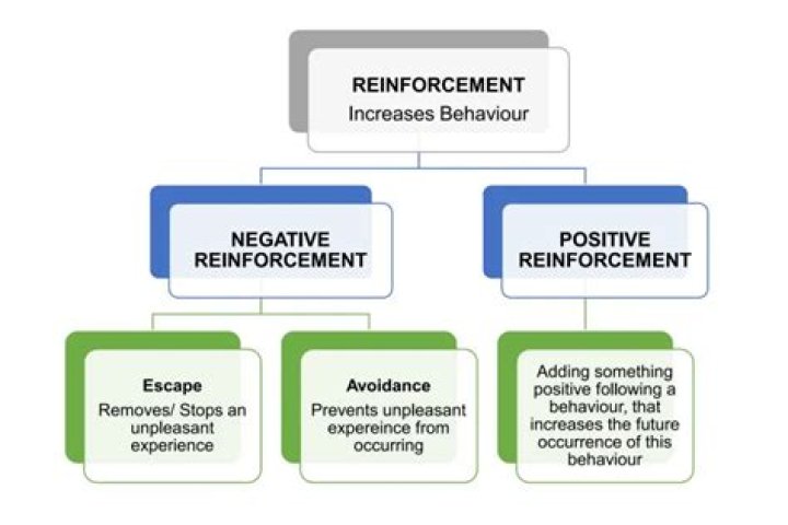 What does reinforcements mean?
