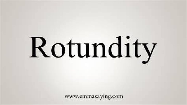What does rotundity mean?