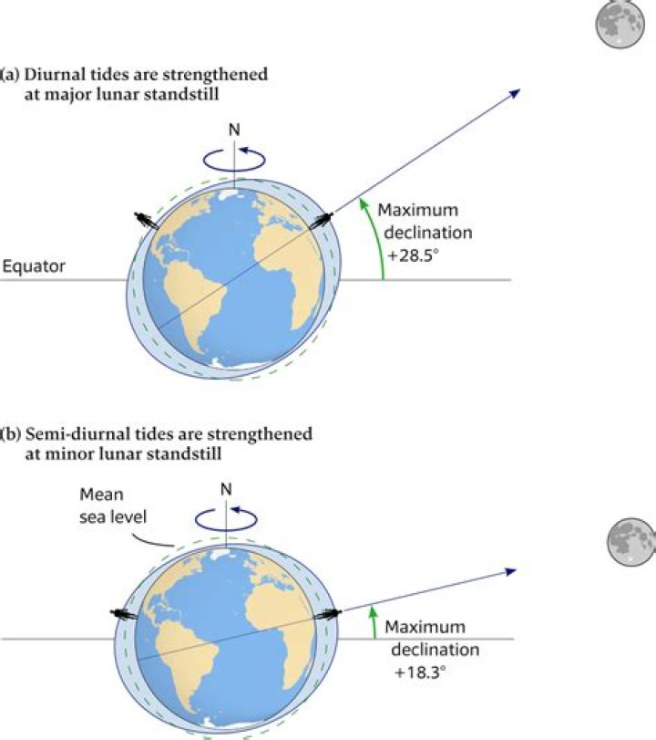 What does semi diurnal mean?