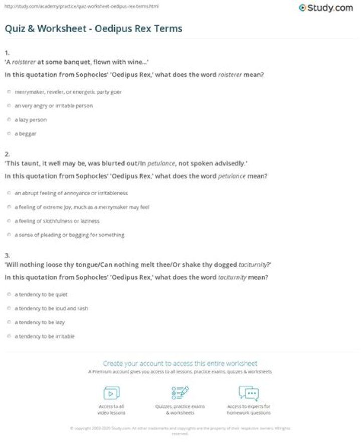 What does the word roisterer mean?