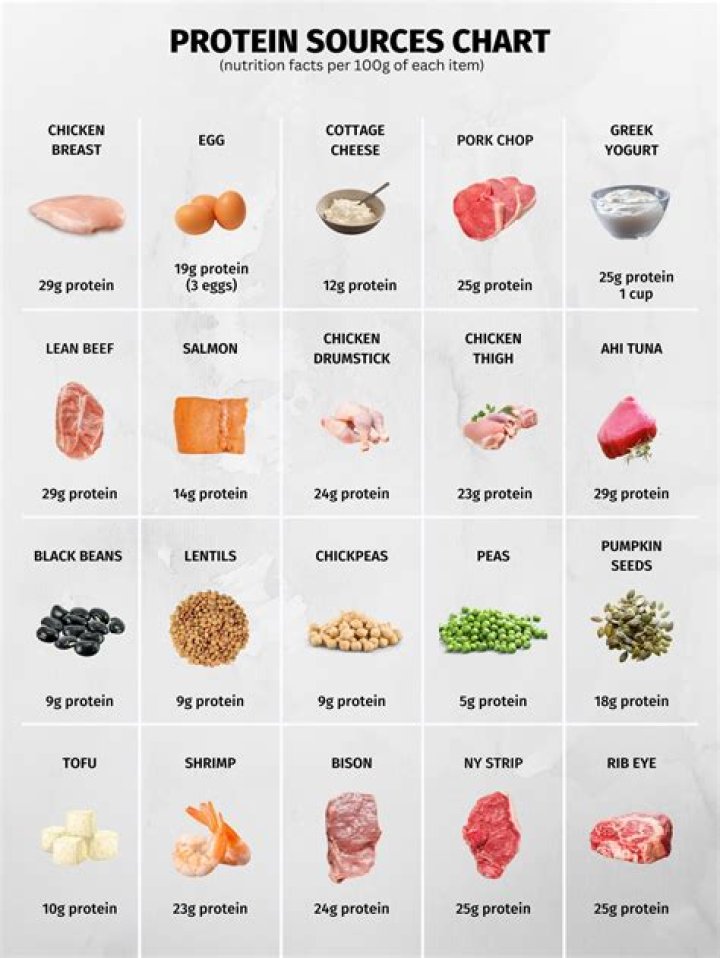 What food do compys eat?