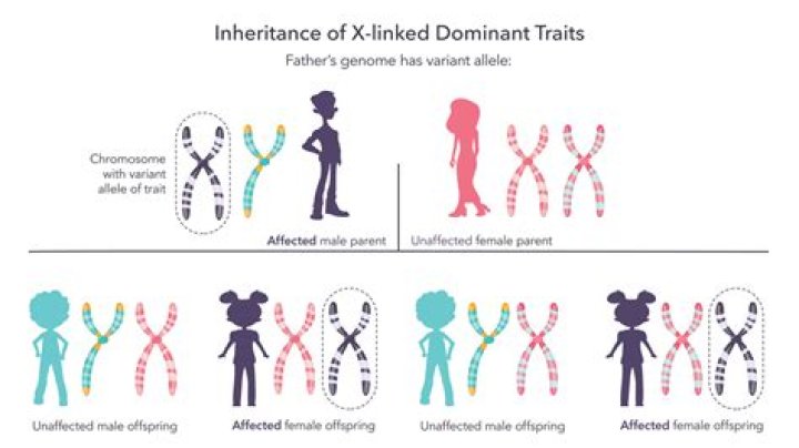 What is a inherited trait?