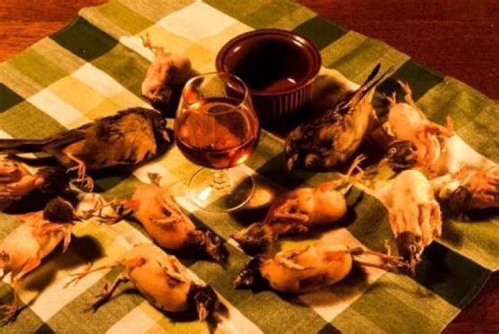 What is a l ortolan?
