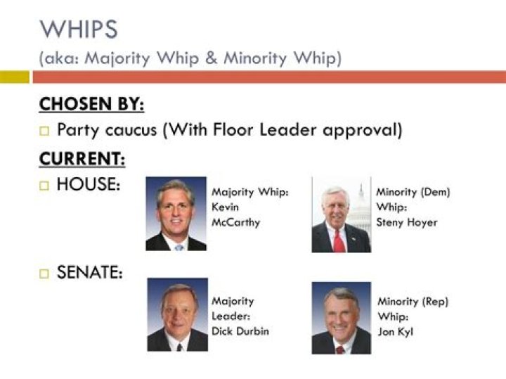 What is a majority whip?
