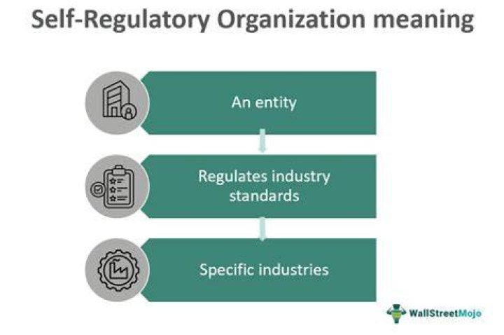 What is a self regulatory authority?