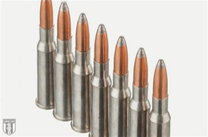 What is devastator ammo?