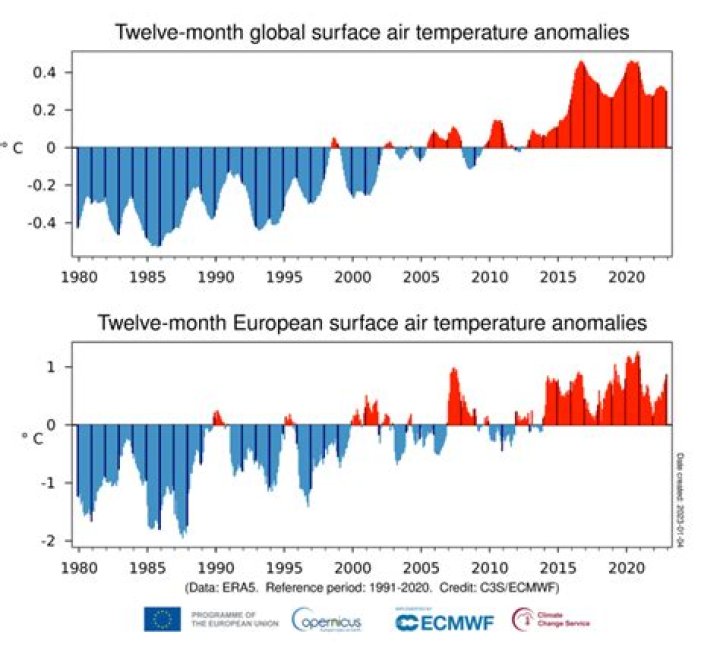 What is the average temperature in the subarctic?
